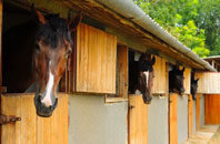 free Shenfield stable construction quotes